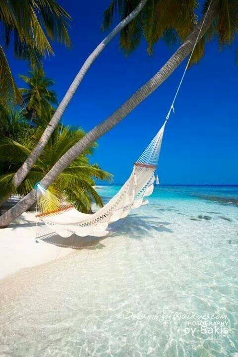 FijiDream's profile picture. Internet Video Showcase of Fiji Luxury Resorts and Exotic Boutique Hotels