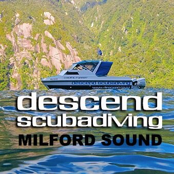 We offer Milford Sound, Fiordland dive trips, Queenstown river drift dives, PADI dive courses.