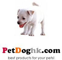 petdoghk's profile picture. 