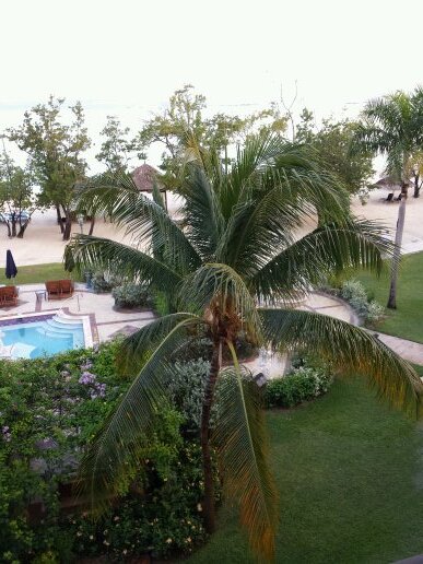 greatleb's profile picture. Married to a wonderful lady. Former Golf Superintendent. Avid traveller. Plant Geek!