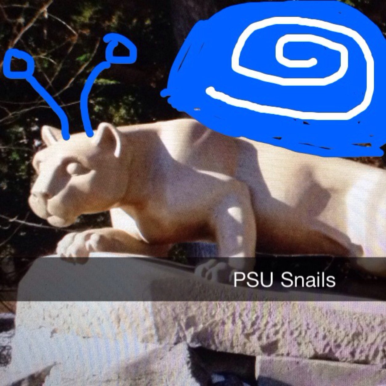 Snail your friends. Snail your professors. Snail that random kid hunched over in 100 Thomas. Join the movement. #SnailedIt 
Send snail snaps to PSU_Snails on SC