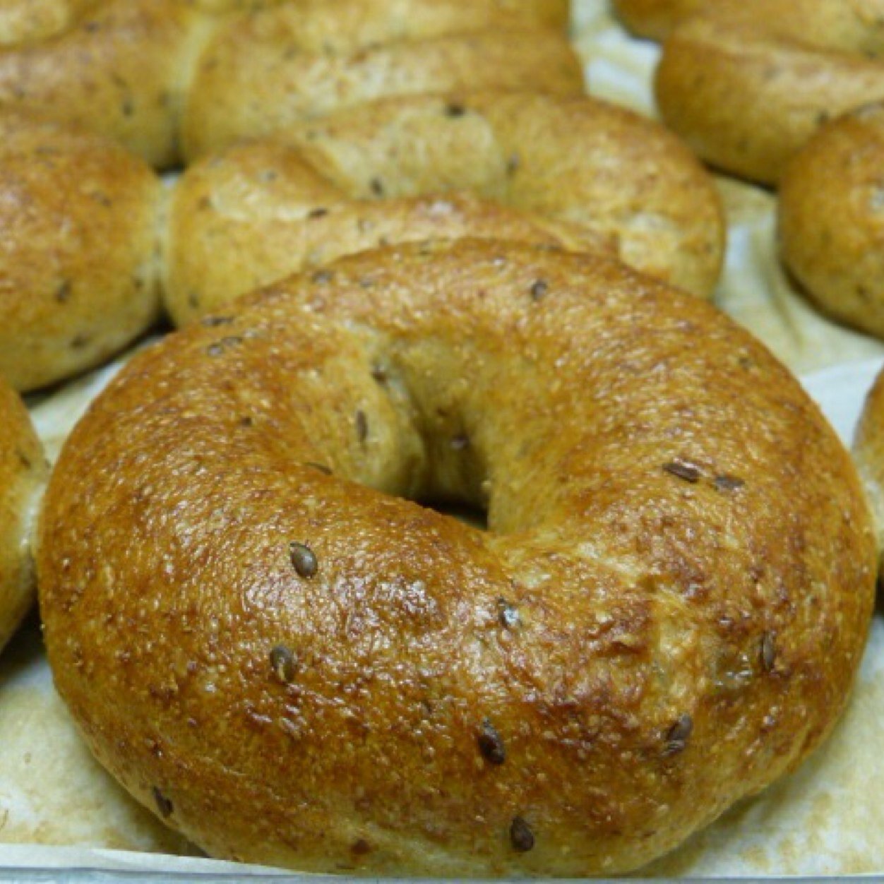 Hendricksnbagel Profile Picture