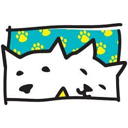 daisyanddash's profile picture. 