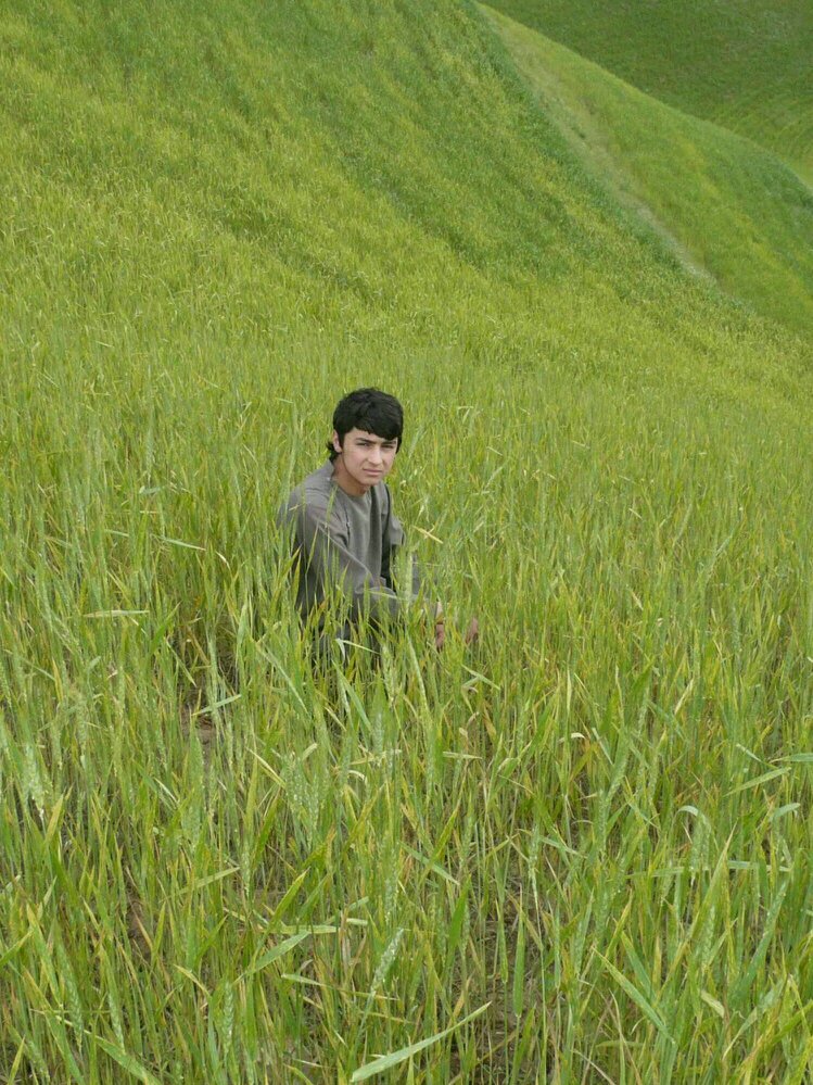 ahmetaydinGmail's profile picture. 