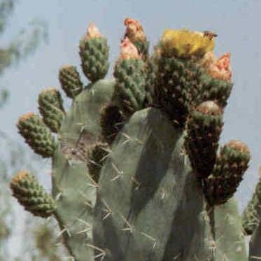 istibar's profile picture. 