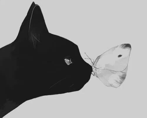 everyone wants happiness without pain, but you can not have a rainbow without a little rain