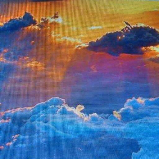 sandol3535's profile picture. 나라와 국민을 사랑하는 사람.
비리를 척결하고자 노력하는 사람.
종북 빨갱이들을 규탄하는 사람.
정의를 사랑하는 사람.
꽃 가꾸기를 좋아하는 사람. 노래하기와 음악감상은 더욱 좋아합니다.