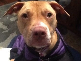 karamain's profile picture. 