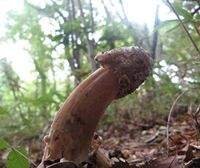 yokahama43's profile picture. 