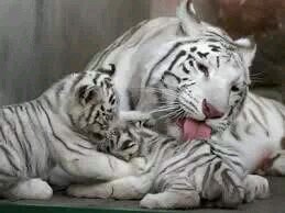 neftali2405's profile picture. 