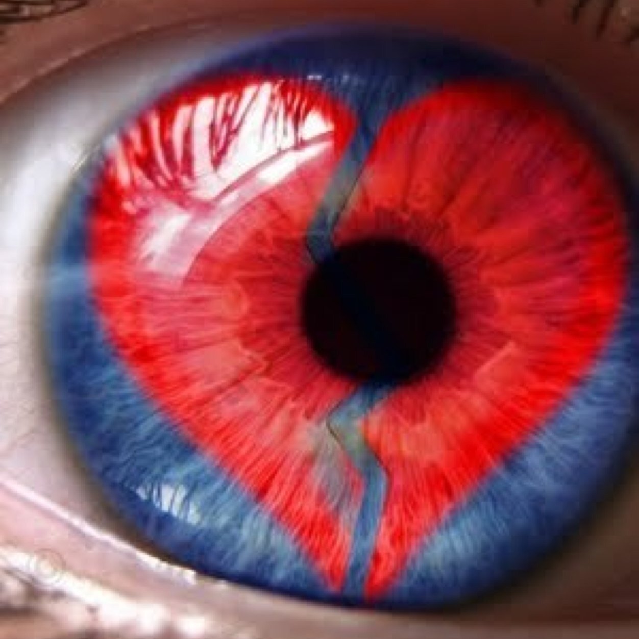 nathanm55940417's profile picture. 