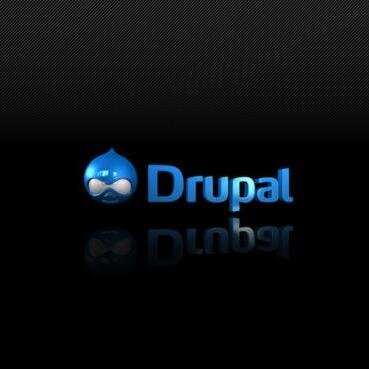 Im Drupal Developer