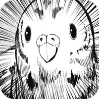 ユウ (@yu_n0809) 's Twitter Profile