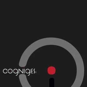 Information professional & consultant