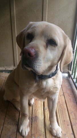 grgrbike's profile picture. たまにつぶやく