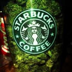 All I want to do is smoke a blunt with you.
