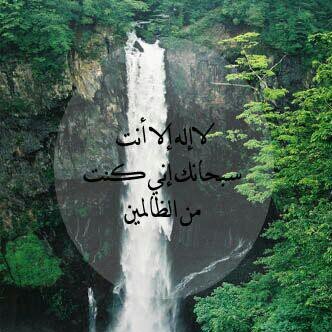 لا تنسى {سبحان الله وبحمده، عدد خلقه، ورضى نفسه، وزنة عرشه، ومداد كلماته}
