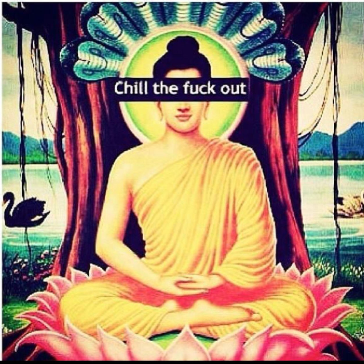 I tweet shit..... Somtimes I eat cerial with a fork... #GoodVibes #FreeSpirit #BossBitch