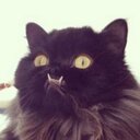 Jacob Fleck - @JFleck26 - Twitter