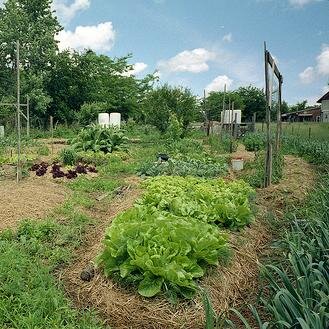 Real Sustainment Documentary Project