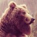 lee Smith (@biglrs) Twitter profile photo lee Smith (@biglrs) Twitter profile photo