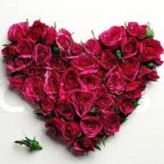 Alhanouf_Quran's profile picture. Student .. PNU...
ما وجدت راحة للقلوب خير من كلام رب العالمين