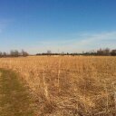 travis sands - @travissands - Twitter