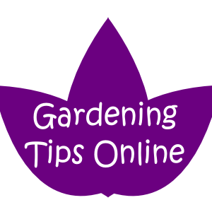 downgardenpath's profile picture. Do you love your garden?  Gardening Tips Online provides free advice for new gardeners and experts alike and a Find an Expert listings section.