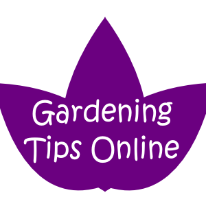 Do you love your garden?  Gardening Tips Online provides free advice for new gardeners and experts alike and a Find an Expert listings section.