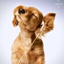 Alix Everton - @AlVann - Twitter