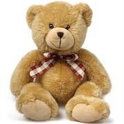 Tester is a shy bear.