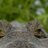 PacoA320's profile image