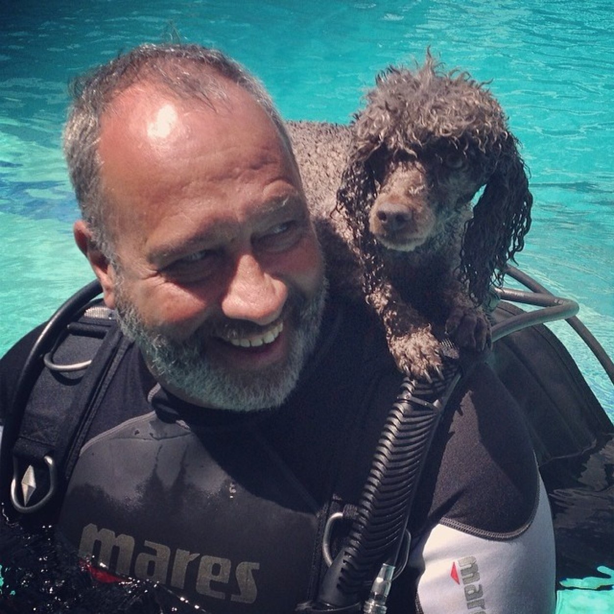 ScubaBoss's profile picture. 