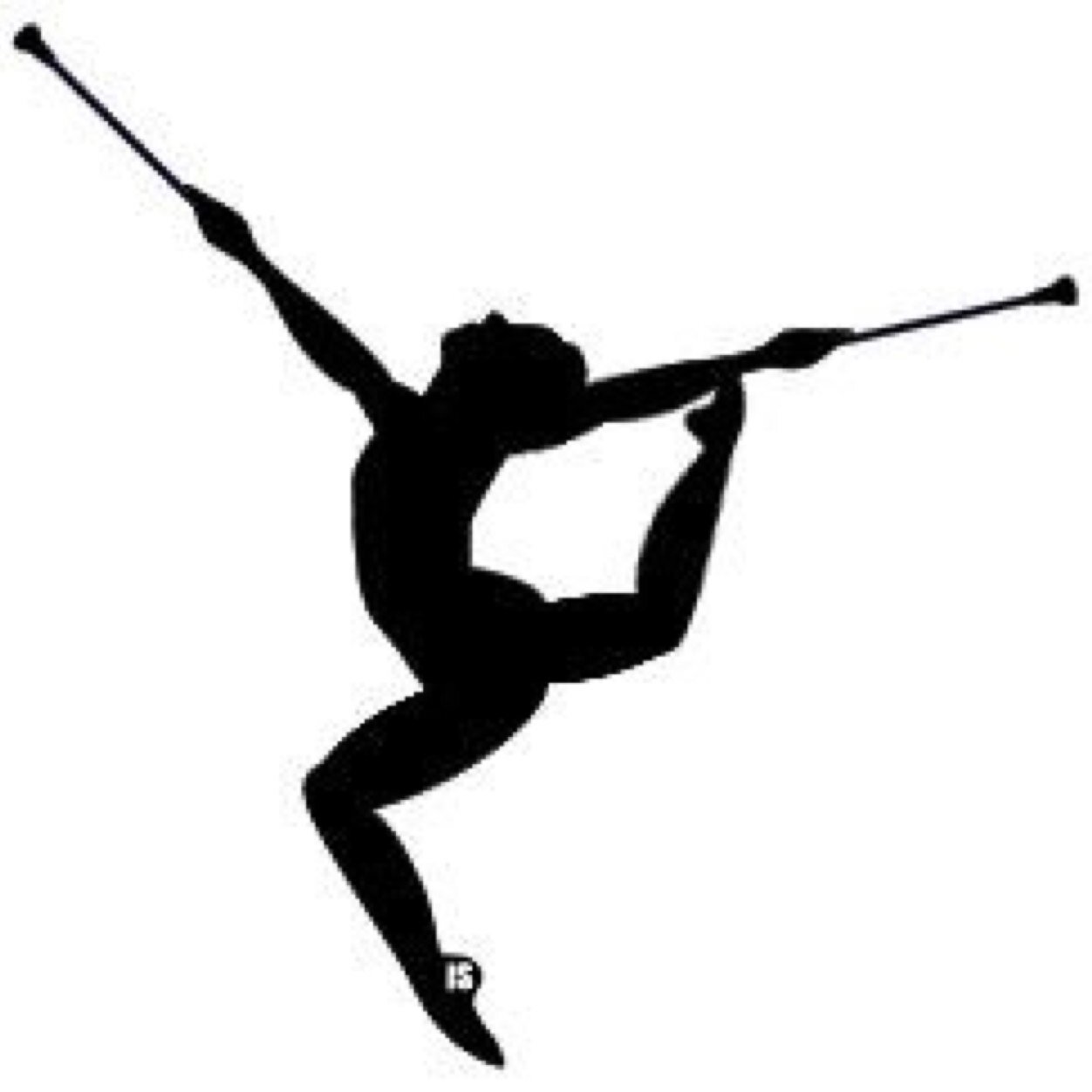 everytwirler_'s profile picture. Tweets that all twirlers can relate too! ✨