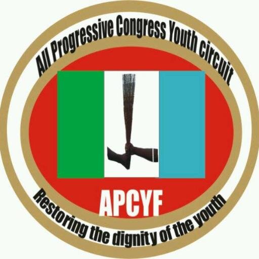 APC YOUTH CIRCUIT NIGER STATE CHAPTER..... time for change
