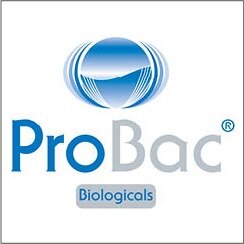 _Probac's profile picture. Probiotic Cleaning - The Way Nature Intended.