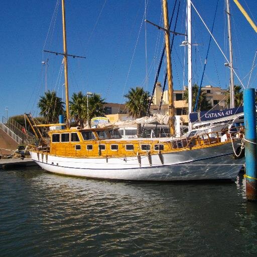 fierviking's profile picture. RBM/ LIBERTE/DOUCE FRANCE/