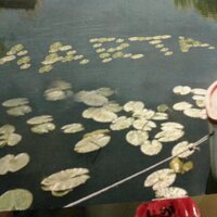 M. Santiago (@m_satiago) 's Twitter Profile