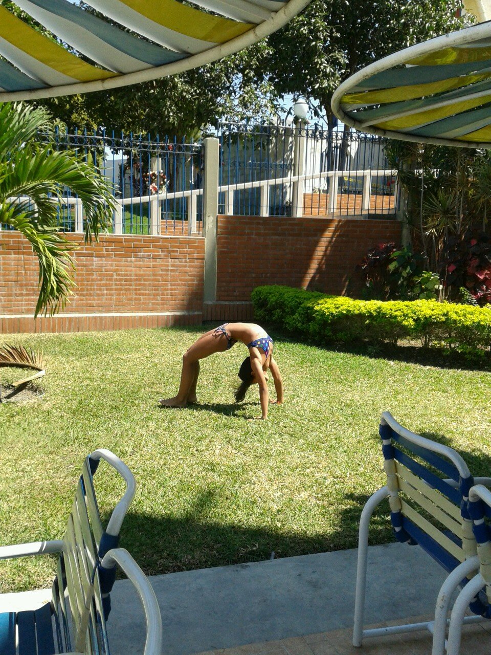 Gimnasta-Venezolana-Amante de los animales