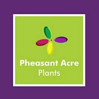 Pheasant Acre Plants(@PheasantAcre) 's Twitter Profileg