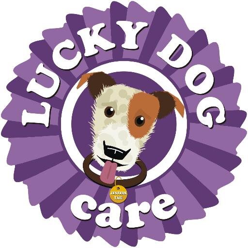 Helping humans have healthy, happy hounds