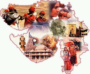 vish2823's profile picture. 