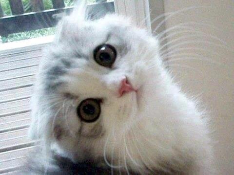 Bestcj1's profile picture. ベストカップルジャパンというサイト運営しています。婚活・合コン　イベント情報満載ですよ
http://t.co/4SHi3M1Gn8