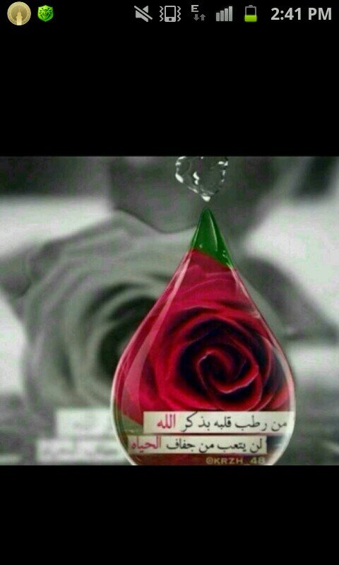 سبحان الله وبحمده ...سبحان الله العظيم