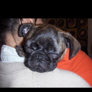 TheSpeyside's profile picture. I'm a drinker with a writing problem.