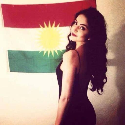 Résultat de recherche d'images pour "post bad kurdistan"