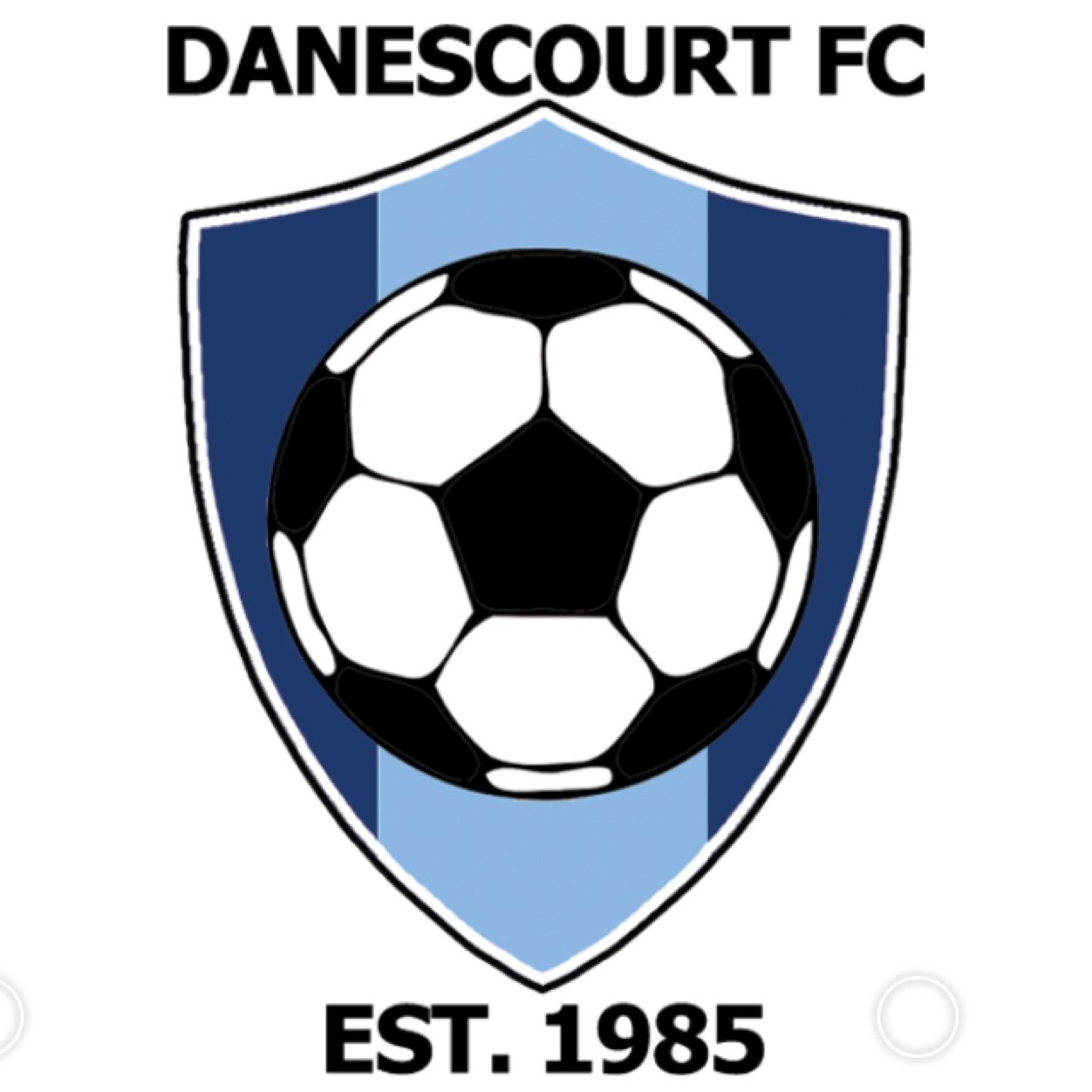 DanescourtFC's profile picture. Danescourt FC have teams from U6-U7's & U9-U15's playing in the Cardiff and District Mini and Junior leagues. We provide football for 150+ boys and girls.