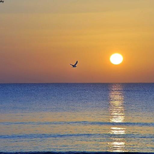 jabezlaw's profile picture. 지극히 작은 자 & 마라나타