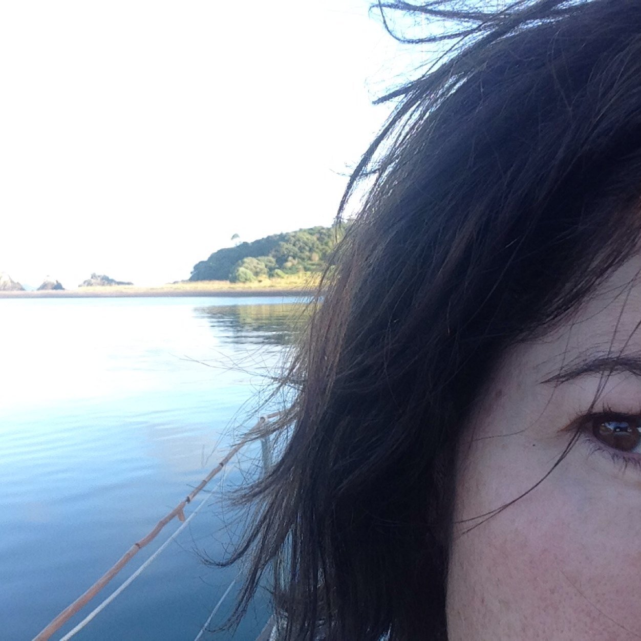 KeoghAmanda's profile picture. In corporate sustainability 10 years, working on sustainability reporting, product stewardship, strategy & innovation. Views are my own and not my employer's.