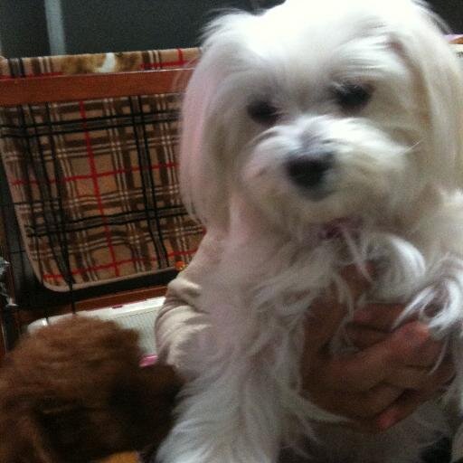 ehevezew's profile picture. 相互フォロー１００％確実です。